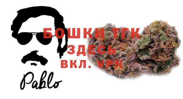 гидра Медногорск