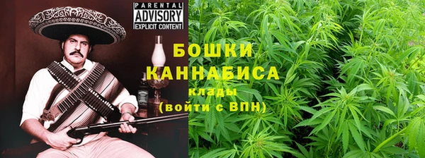 гидра Медногорск