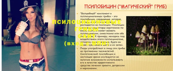 трава Медвежьегорск