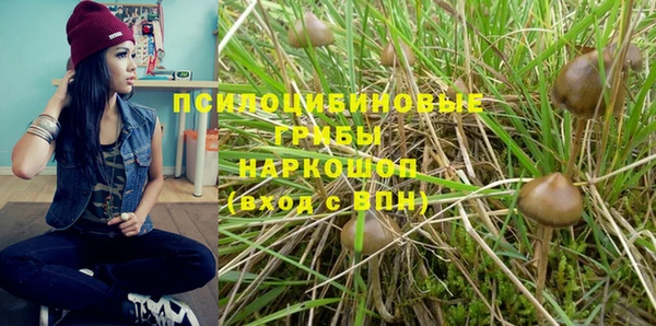 гидра Медногорск