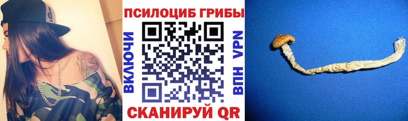 Галлюциногенные грибы MAGIC MUSHROOMS  Купить  Муравленко 
